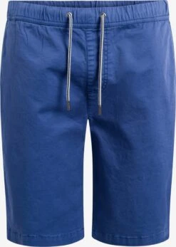 Shorts Regular Pantalon Harold Homme Bleu