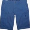 U.S. Polo Assn. Shorts Cargo Regular Pantalon Cargo Homme Bleu / Bleu Roi -Jack & Jones Soldes Boutique 490495bcc91eedfefb45292fdc3f3a90