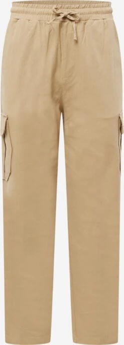 About You Shorts Cargo Regular Pantalon Cargo Marvin Homme Beige