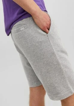 Jack & Jones Shorts De Survêtement Regular Pantalon Shark Homme Gris Chiné -Jack & Jones Soldes Boutique 8efc1a8deda1091c1d4fd9abebcaaa64