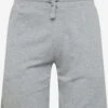 Shorts De Survêtement Regular Pantalon Homme Gris Chiné