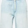 Hollister Shorts En Jean Regular Pantalon Homme Bleu Clair